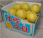 �y�����U ���10kg