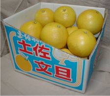 �y�����U ���10kg