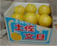 �y�����U ���10kg