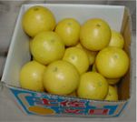 �y�����U ����10kg