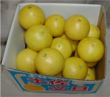 �y�����U ����10kg