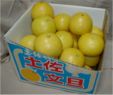 �y�����U ����10kg