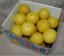 �y�����U ����10kg
