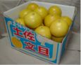 �y�����U ����10kg