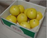�y�����U ��ʁ`�� 5kg