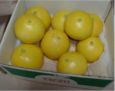 �y�����U ��ʁ`���� 5kg