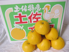 【ゴトー商店青果部】家庭用お徳用わけあり土佐小夏(A)13kg